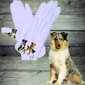Dog Gloves